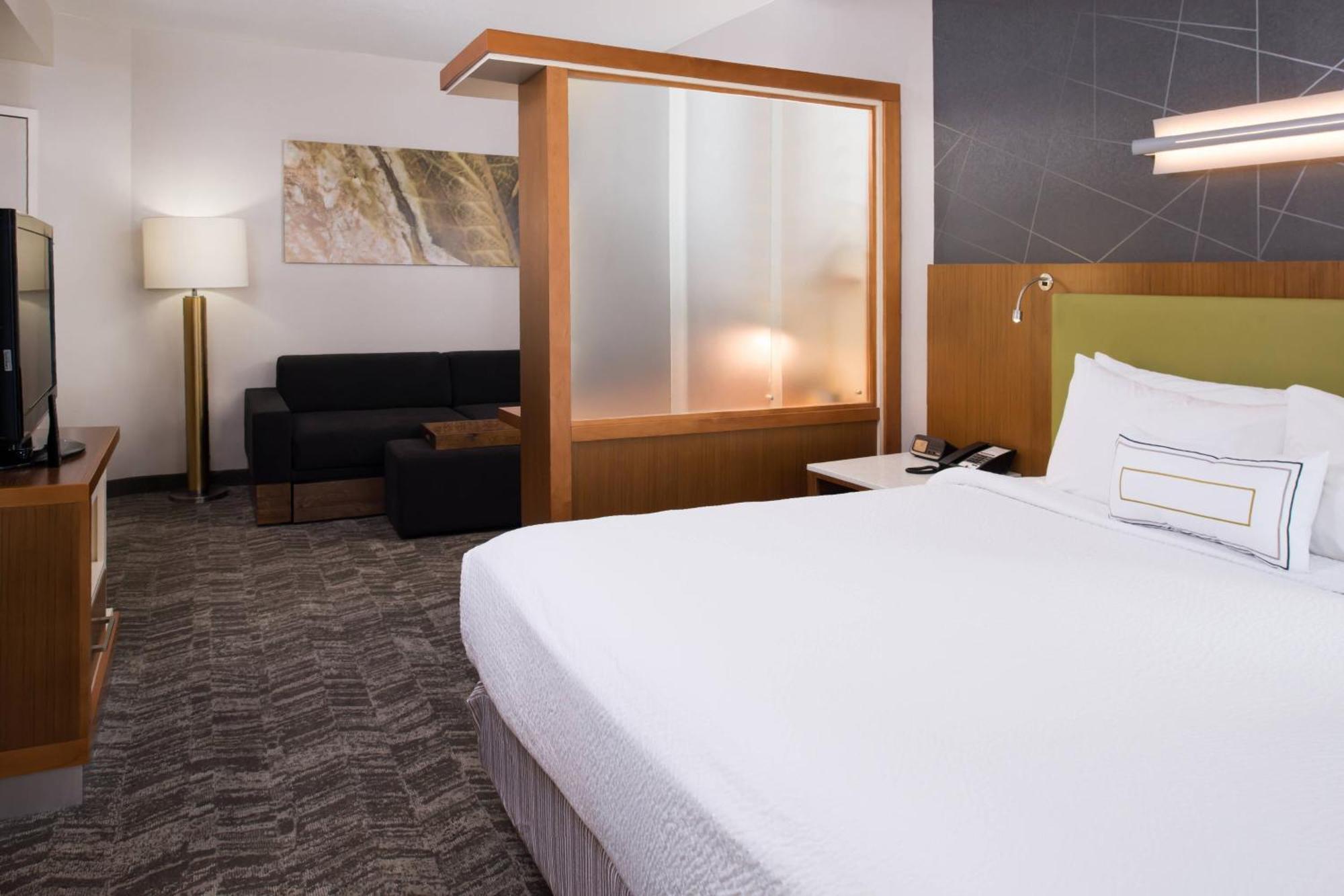 Springhill Suites By Marriott Huntsville Downtown מראה חיצוני תמונה