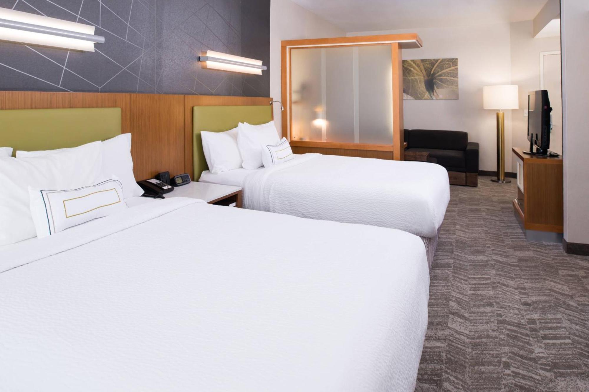 Springhill Suites By Marriott Huntsville Downtown מראה חיצוני תמונה